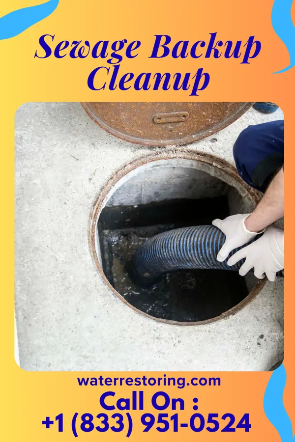 Sewage Backup Cleanup in Selmer, TN